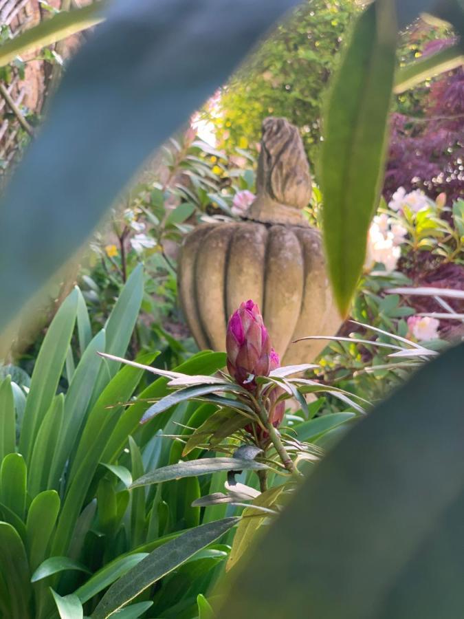 Cote Jardin Bed & Breakfast Sainte-Suzanne  ภายนอก รูปภาพ