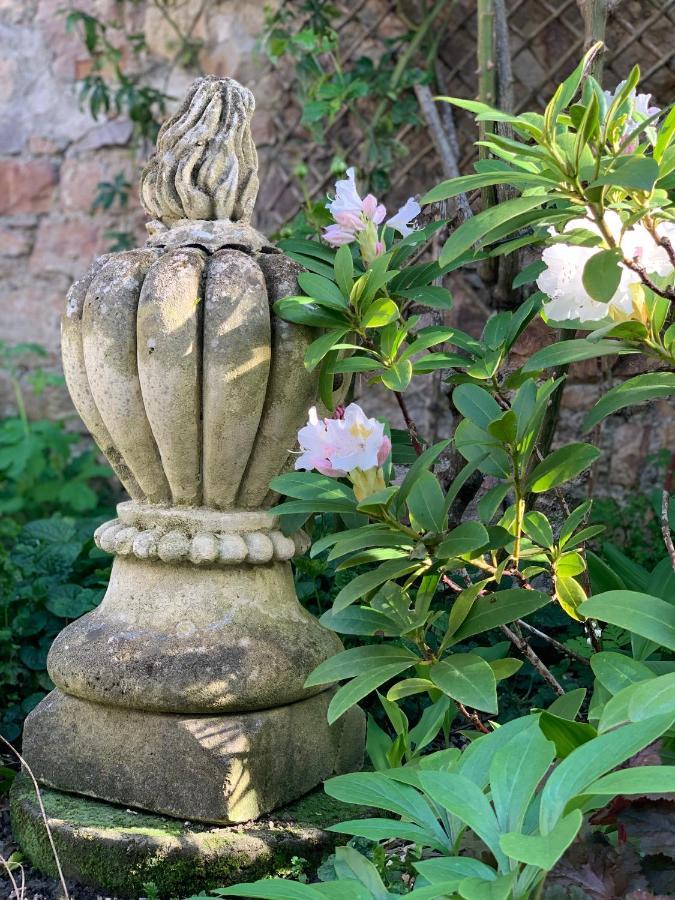 Cote Jardin Bed & Breakfast Sainte-Suzanne  ภายนอก รูปภาพ