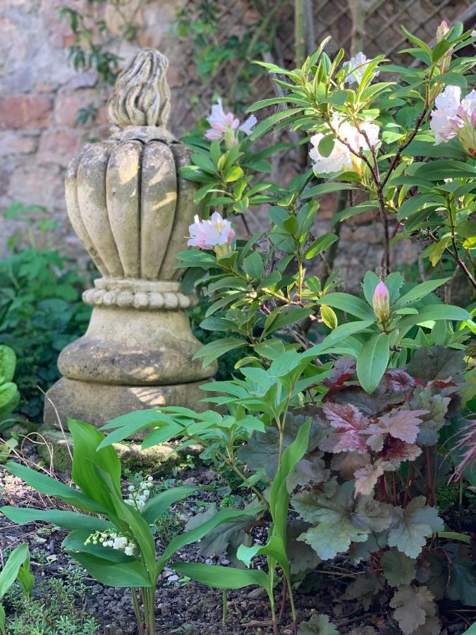 Cote Jardin Bed & Breakfast Sainte-Suzanne  ภายนอก รูปภาพ