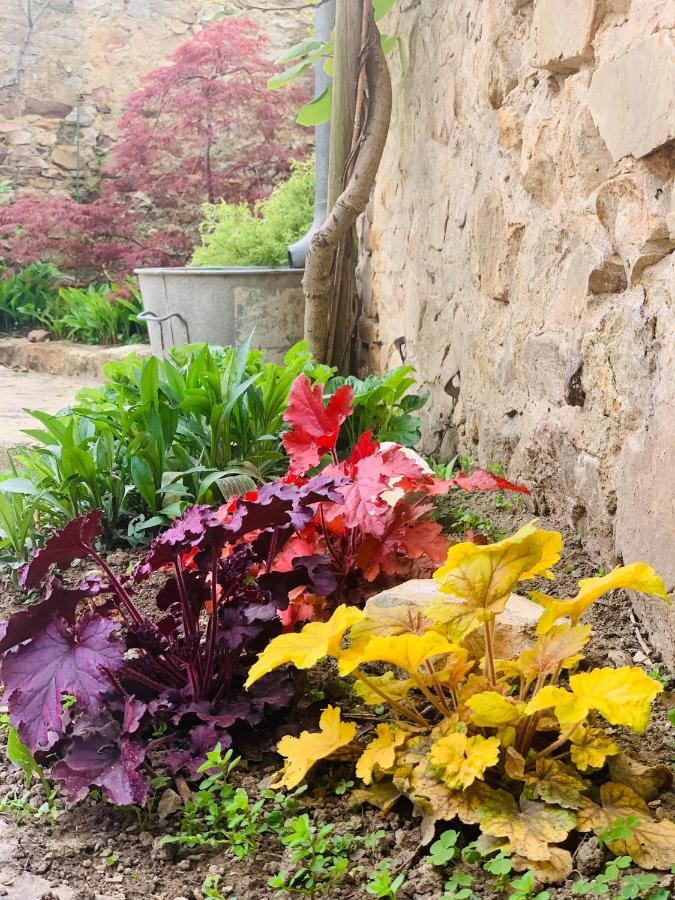 Cote Jardin Bed & Breakfast Sainte-Suzanne  ภายนอก รูปภาพ