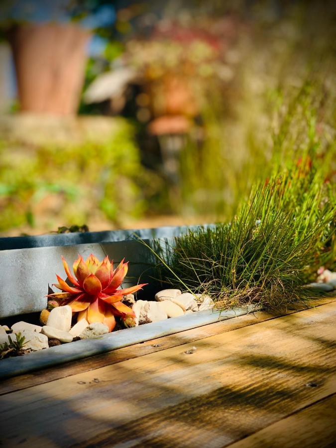 Cote Jardin Bed & Breakfast Sainte-Suzanne  ภายนอก รูปภาพ